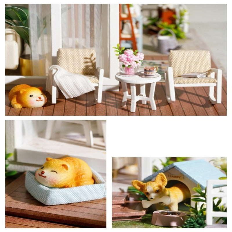 chien miniature loft familial