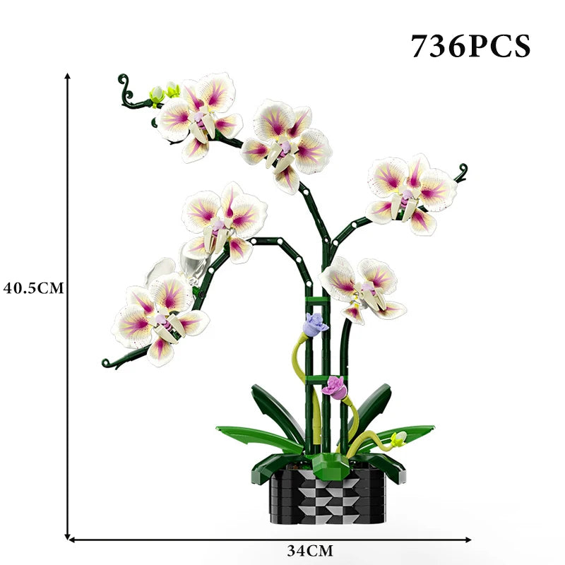 Orchidée en pot – Bloc de construction créatif
