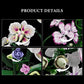 Orchidée en pot – Bloc de construction créatif