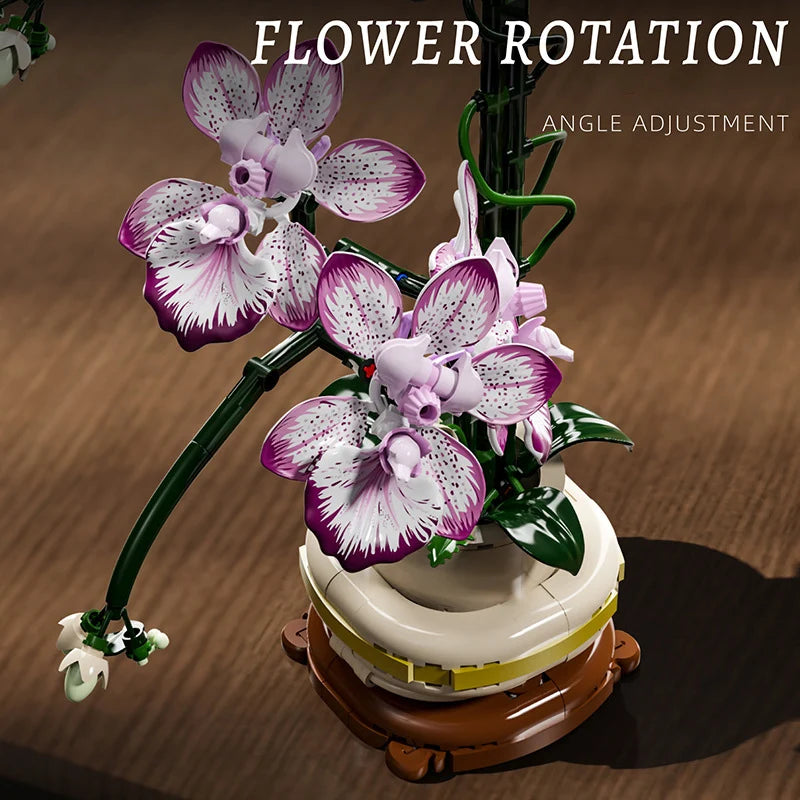 Orchidée en pot – Bloc de construction créatif