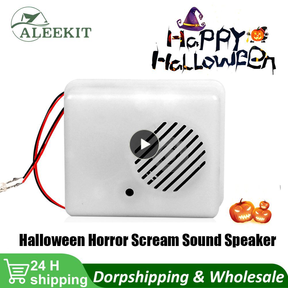Haut-parleur sonore de cri d'horreur d'Halloween, accessoires d'horreur de maison hantée Tricky Screaming Speaker Creative pour le décor de couloirs