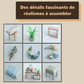 Maquette Maison Miniature Studio